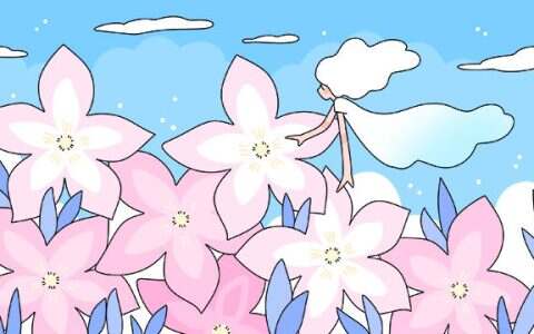 单招选专业需谨慎！这些专业更容易专升本！